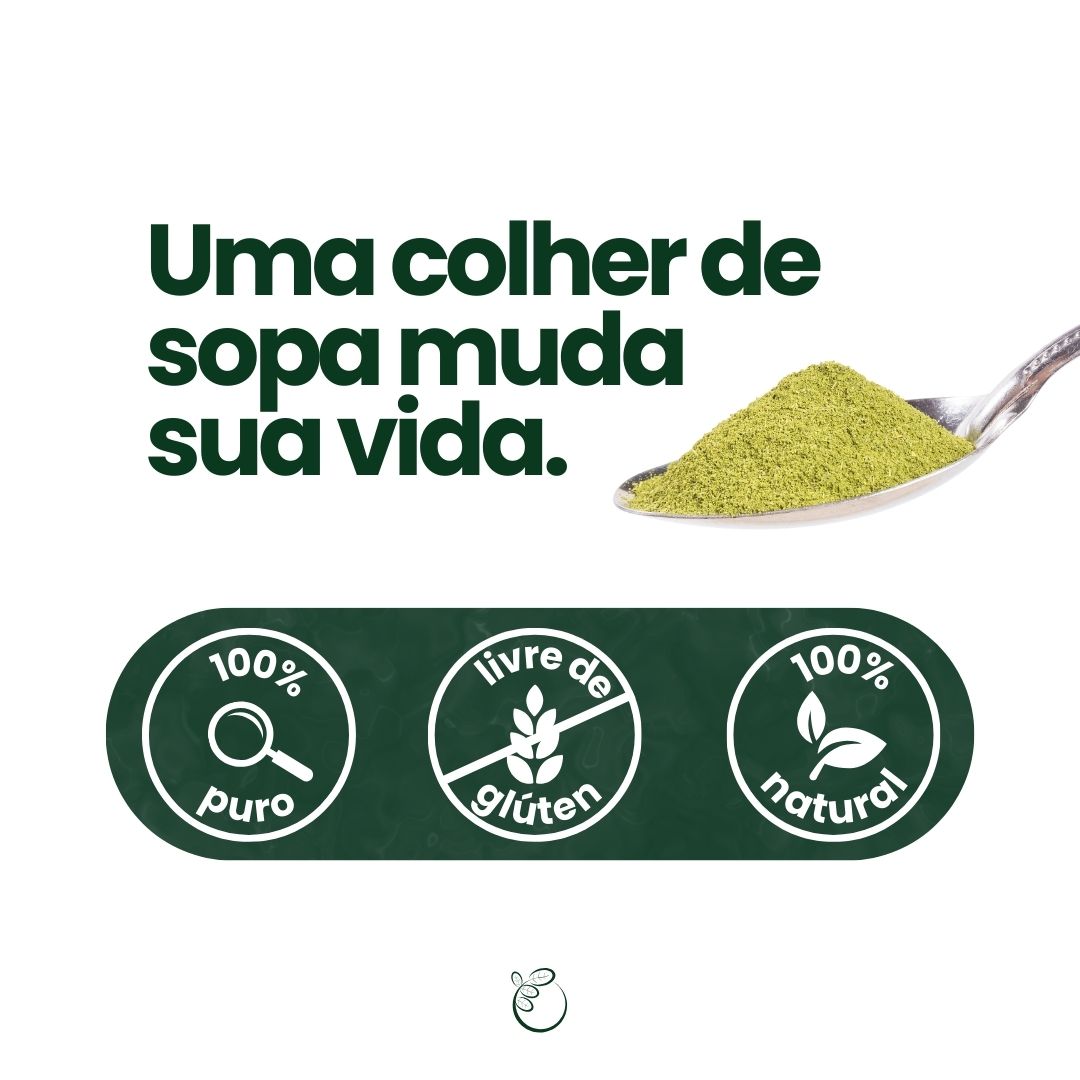 Moringa - 100% pura