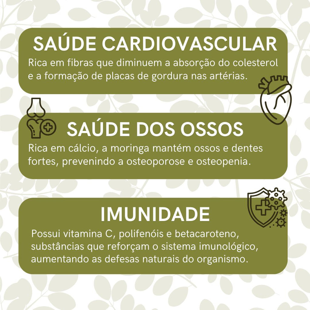 Moringa - 100% pura
