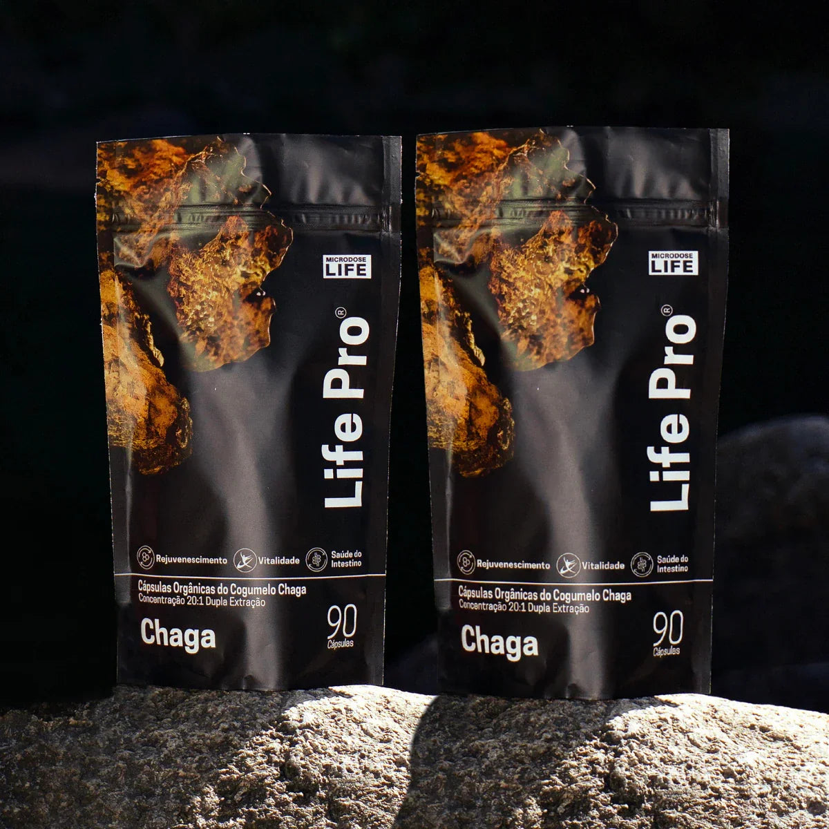 Cogumelo Chaga | Extrato Encapsulado 90 caps