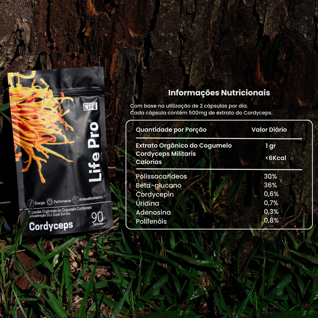 Kit Foco, Energia e Equilíbrio | Lions Mane + Cordyceps + Reishi
