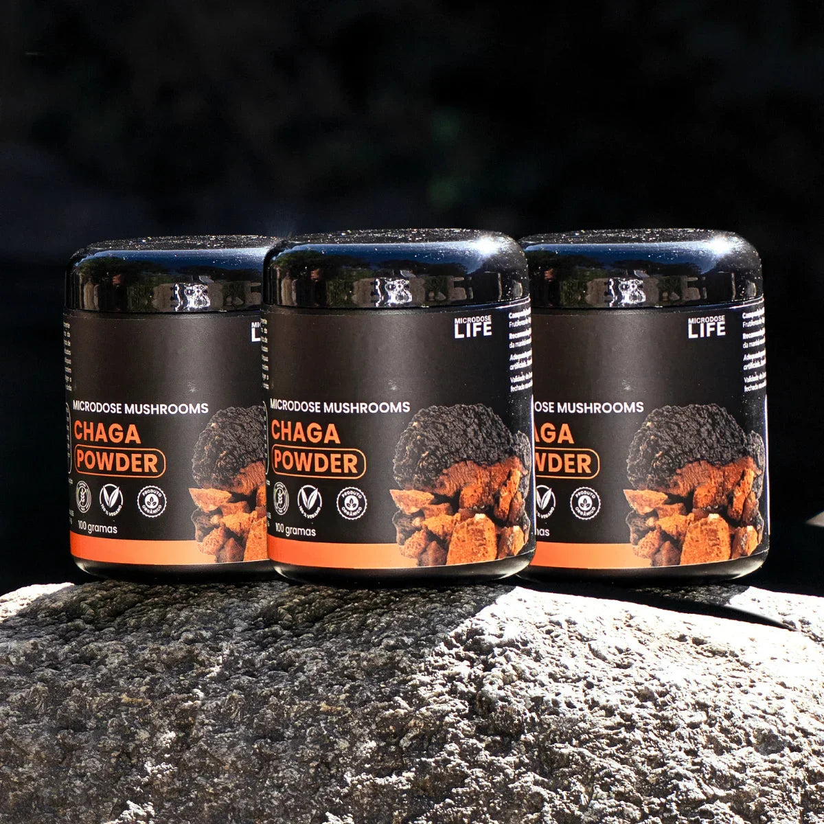 Cogumelo Chaga | Extrato em Pó 100g