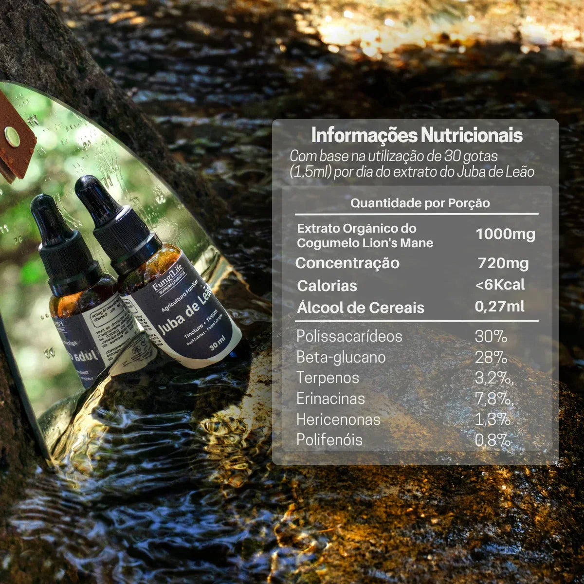 Cogumelo Juba de Leão | Extrato Líquido 30ml