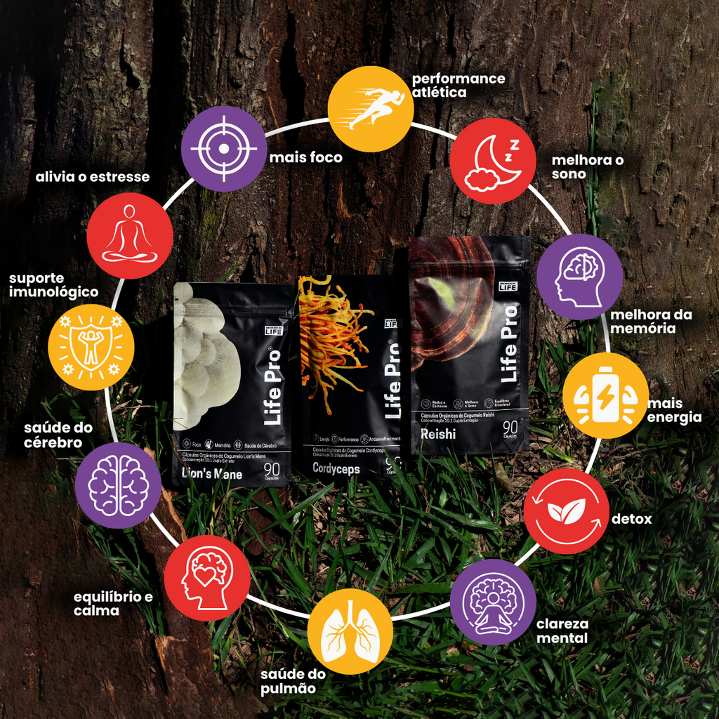Kit Foco, Energia e Equilíbrio | Lions Mane + Cordyceps + Reishi