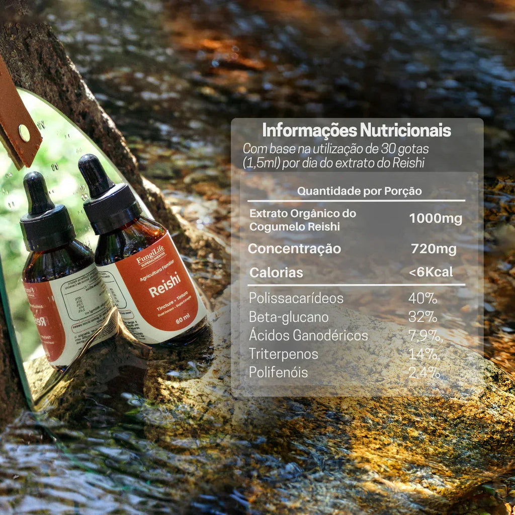 Kit Foco, Energia e Equilíbrio | Juba de Leão + Cordyceps + Reishi | Extrato Líquido 60ml