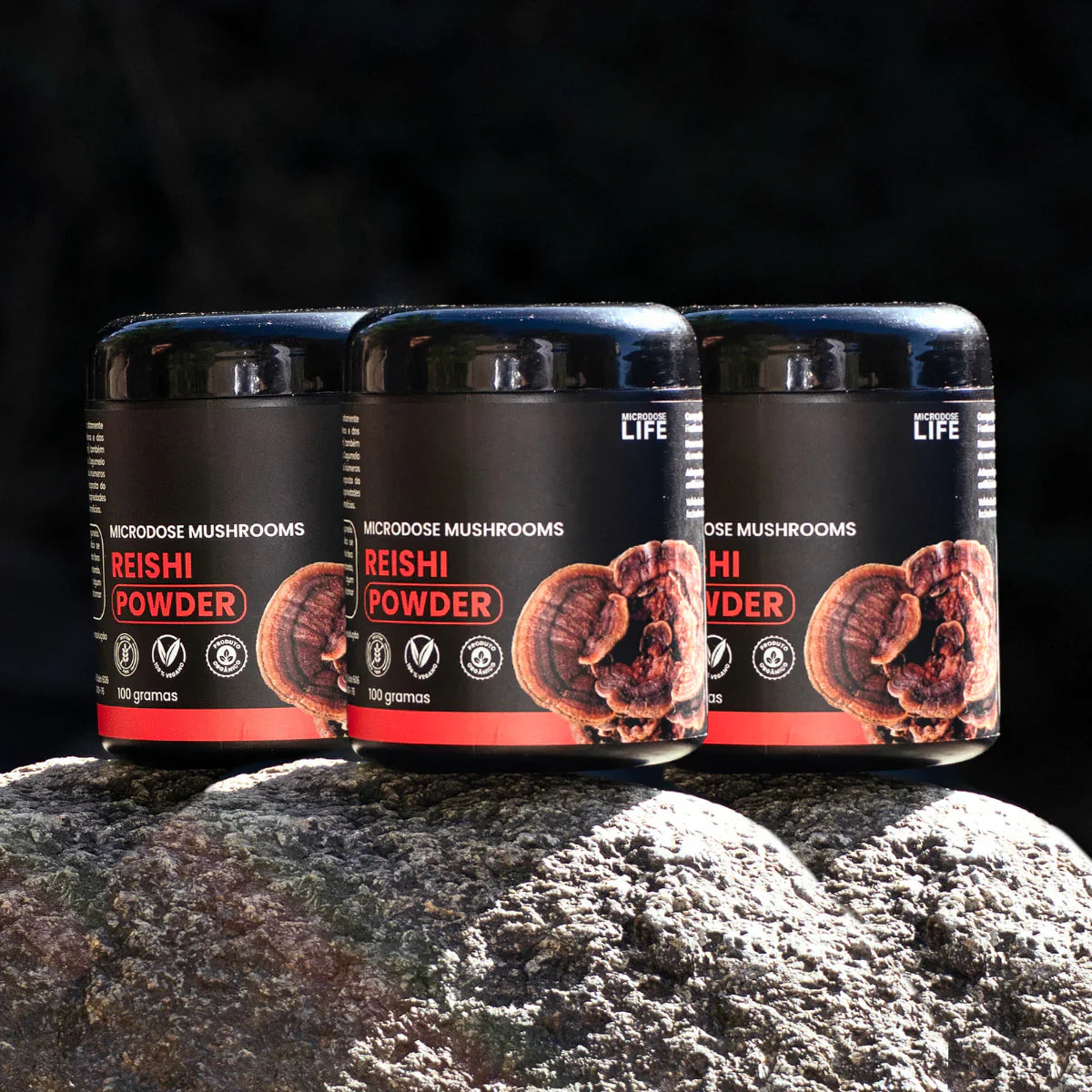 Cogumelo Reishi | Extrato em Pó 100g