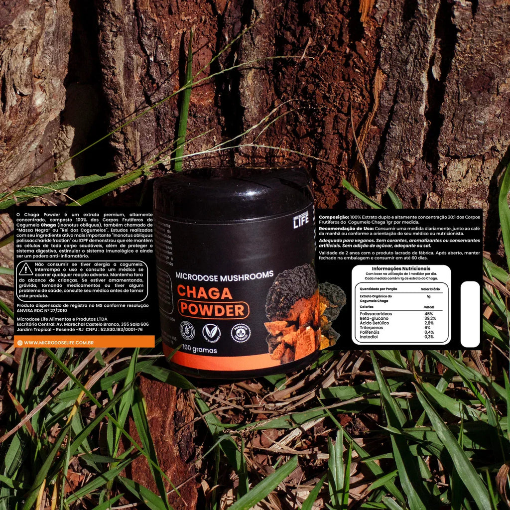 Cogumelo Chaga | Extrato em Pó 100g