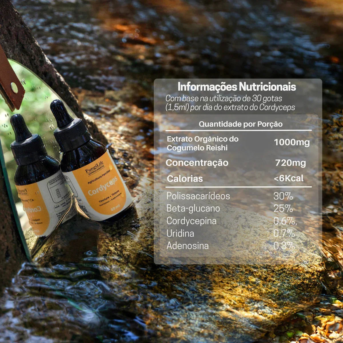 Kit Foco, Energia e Equilíbrio | Juba de Leão + Cordyceps + Reishi | Extrato Líquido 60ml