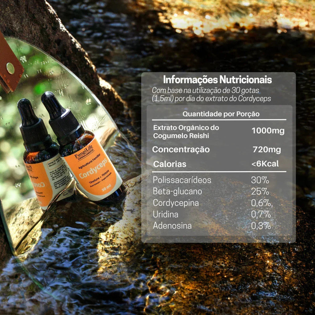 Kit Energia e Equilibrio | Cordyceps + Reishi | Extrato Líquido 30ml