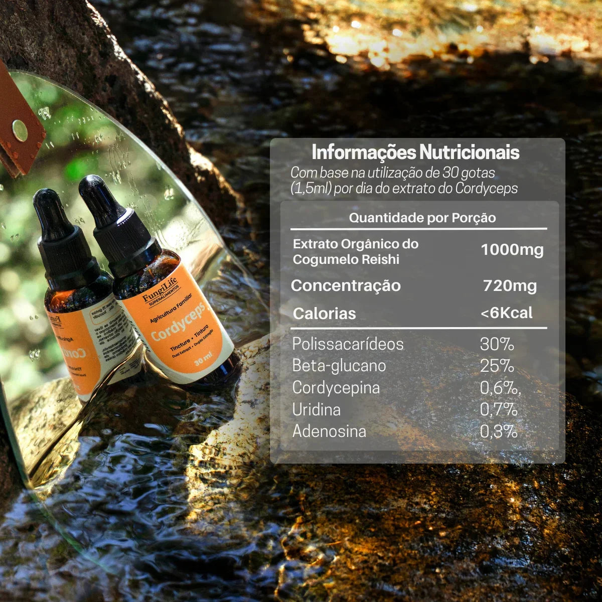 Cogumelo Cordyceps Militaris | Extrato Líquido 30ml