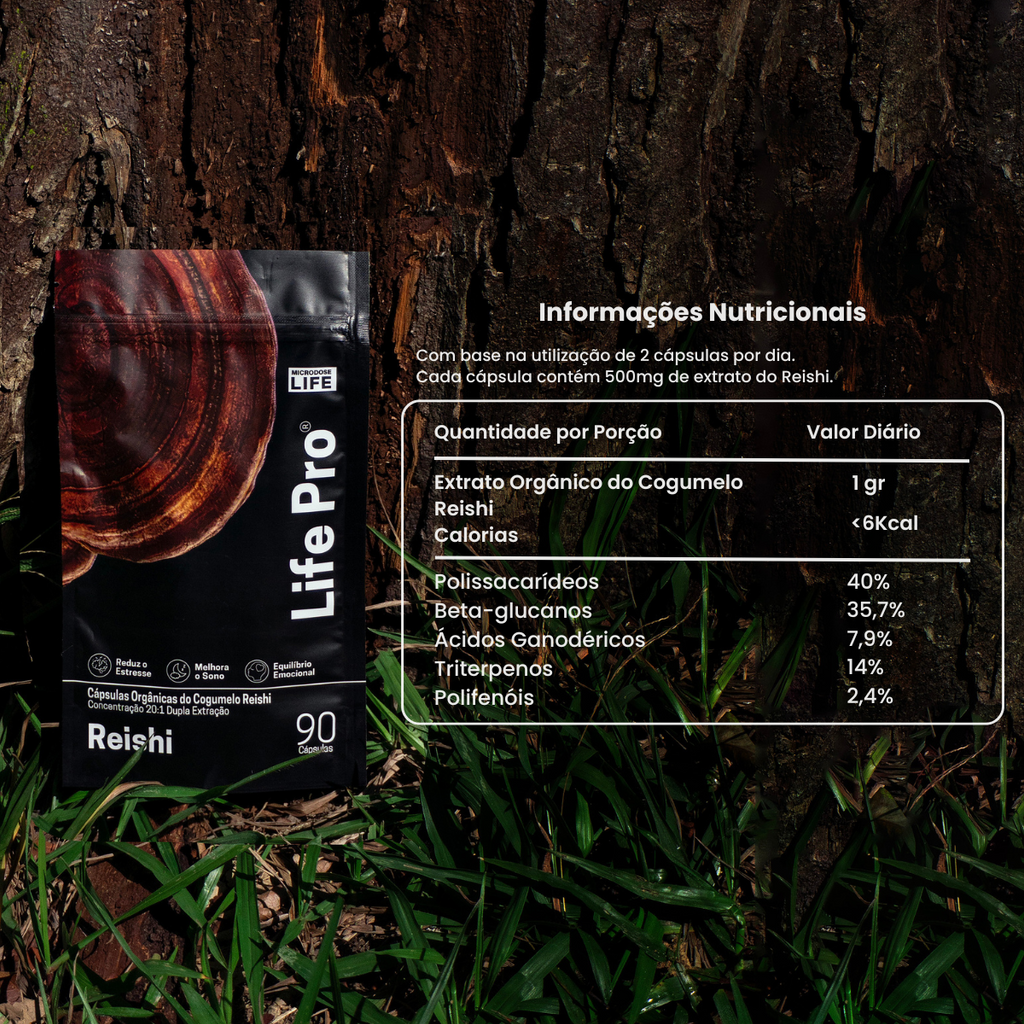 Kit Foco, Energia e Equilíbrio | Lions Mane + Cordyceps + Reishi