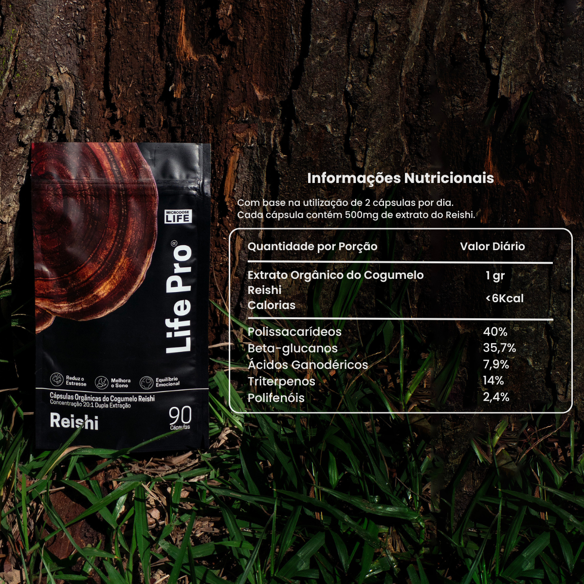 Cogumelo Reishi | Extrato Encapsulado 90 caps